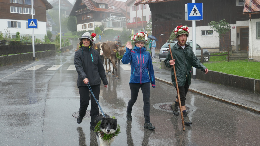 Alpabtrieb 2017 _16_.JPG