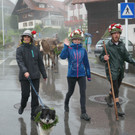 Alpabtrieb 2017 _16_.JPG