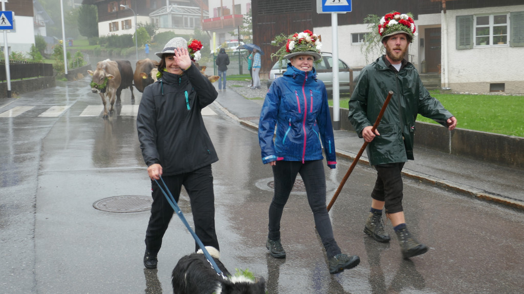 Alpabtrieb 2017 _17_.JPG