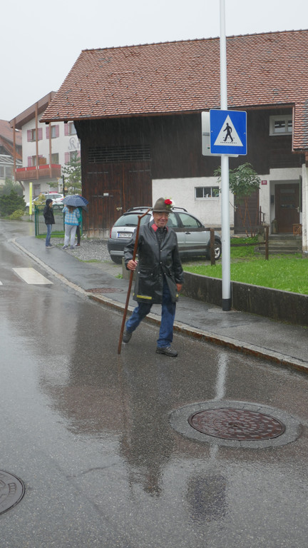 Alpabtrieb 2017 _19_.JPG