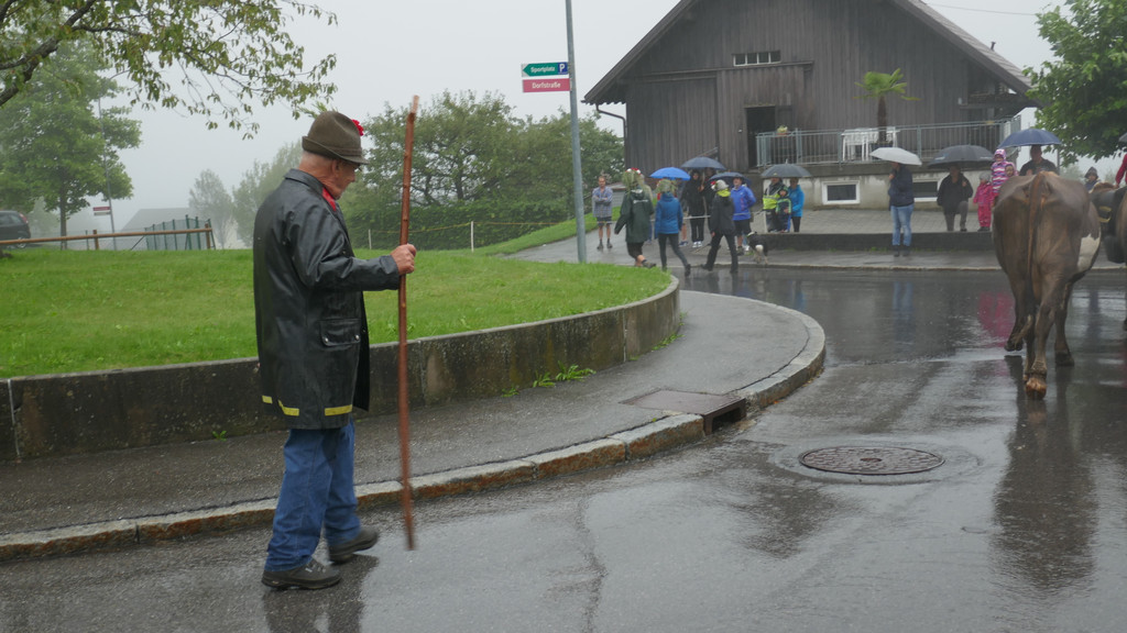 Alpabtrieb 2017 _20_.JPG