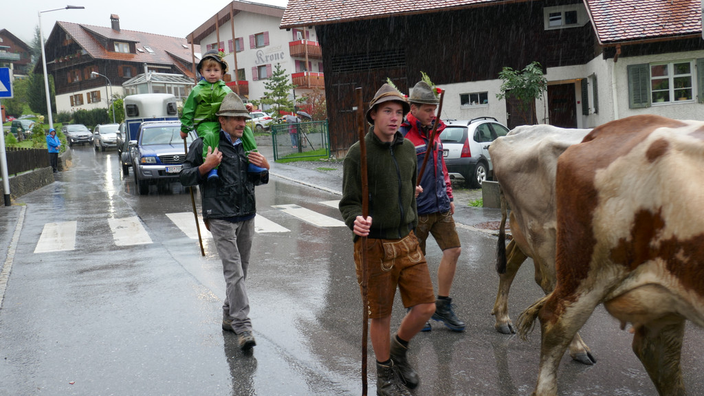 Alpabtrieb 2017 _32_.JPG