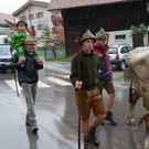 Alpabtrieb 2017 _32_.JPG