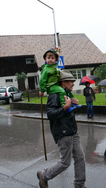 Alpabtrieb 2017 _33_.JPG