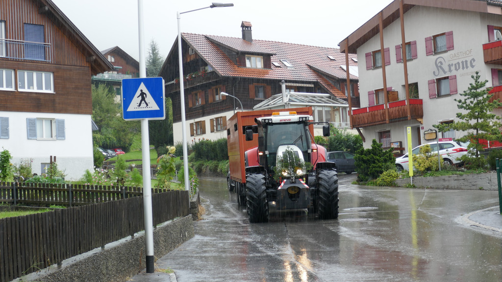 Alpabtrieb 2017 _34_.JPG