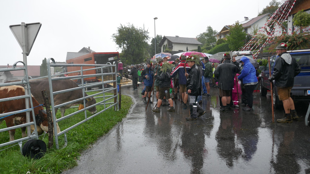 Alpabtrieb 2017 _36_.JPG