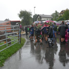 Alpabtrieb 2017 _36_.JPG