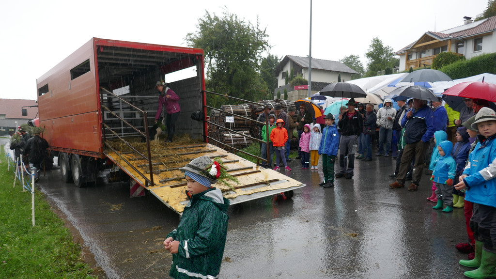 Alpabtrieb 2017 _37_.JPG