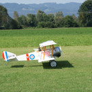 DSC06851.JPG