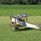 DSC06874.JPG