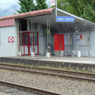 DSC04797.JPG