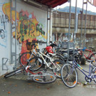 DSC04806.JPG