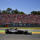 AFP_S29Y6.jpg