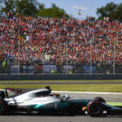 AFP_S29Y7.jpg