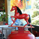 DSCN2498.JPG