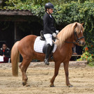 Erfolgreiches Turnierwochende für den Reitclub Wildfang Klaus