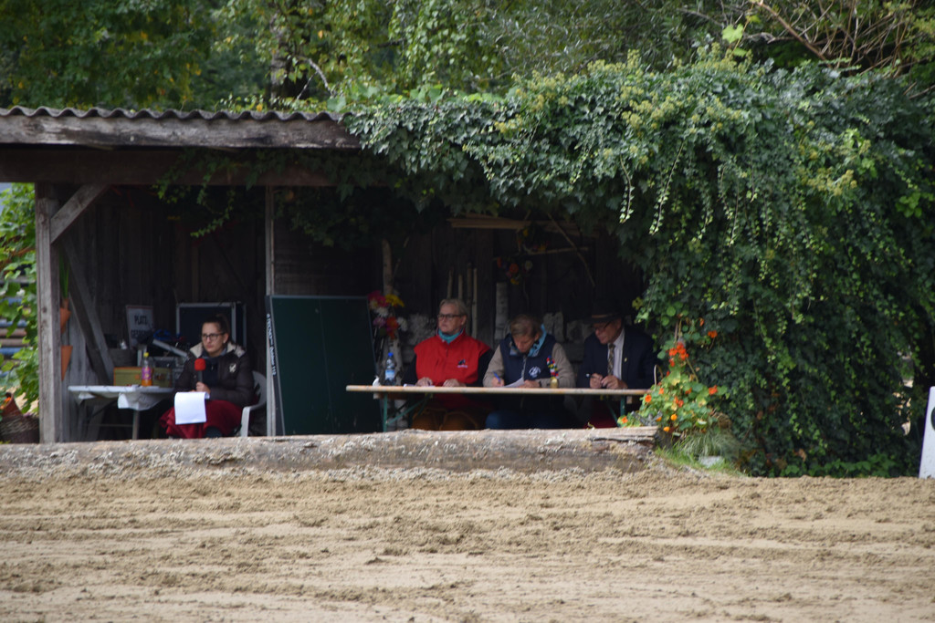 DSC_0220.JPG