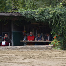 DSC_0220.JPG