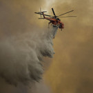 842003386.jpg