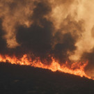 AFP_S26D8.jpg
