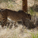 DSC05146.JPG