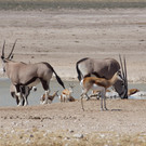 DSC05574.JPG