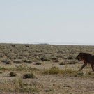 DSC05624.JPG