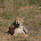 DSC05163.JPG