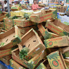 florida-irma-hurrican _15_.jpg