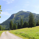 IMG_8780.JPG