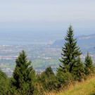 IMG_8786.JPG