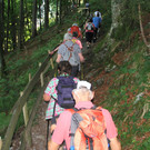 IMG_8791.JPG