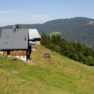 IMG_8838.JPG