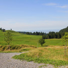 IMG_8842.JPG
