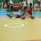 576593.jpg