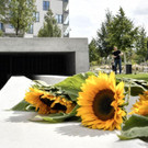 ABD0065-20170907.jpg