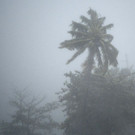 Puerto_Rico_Hurrrican_Irma_30904.jpg