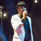 Best of Austria 2017 _140 von 160_.jpg