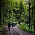 002_Tag_2_Bezau_Spaziergang_Jana_Sabo-Friendship_is.jpg