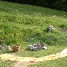 583231.jpg