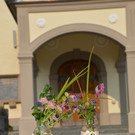 Doren geniest 8_9_17 055.jpg