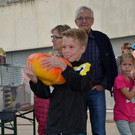 Doren geniest 8_9_17 062.jpg