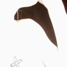 588970.jpg