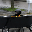 IMG_8653.JPG