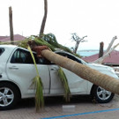 St__Martin_Hurricane_Irma_48933.jpg