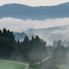 01_001_Tag_3_Nebel_Jana_Sabo-Friendship_is.jpg