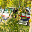 Identitaeren - Gedenkzug  - Kahlenberg _21 von 99_.jpg