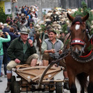 Alptag Mellau 36.jpg