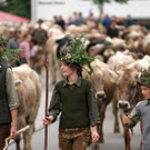 Alptag Mellau 34.jpg