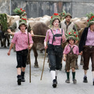 Alptag Mellau 29.jpg